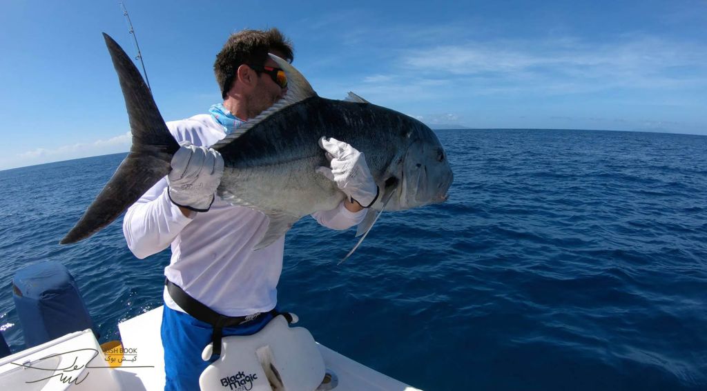 Рыбалка троллингом