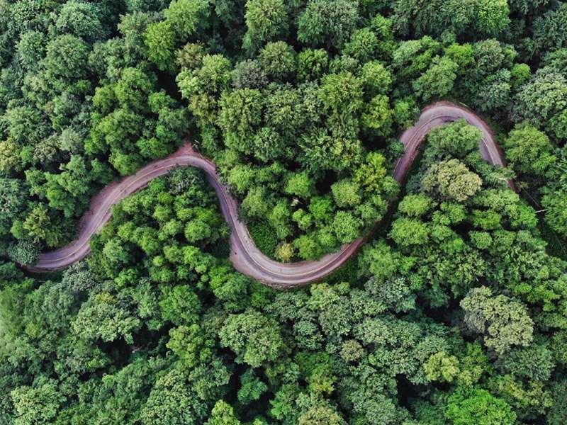 Провинция Голестан: дорога Чалус в Национальном парке Голестан