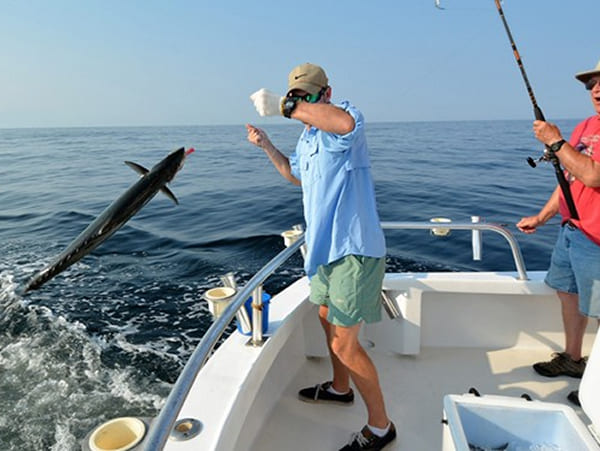 Рыбалка троллингом