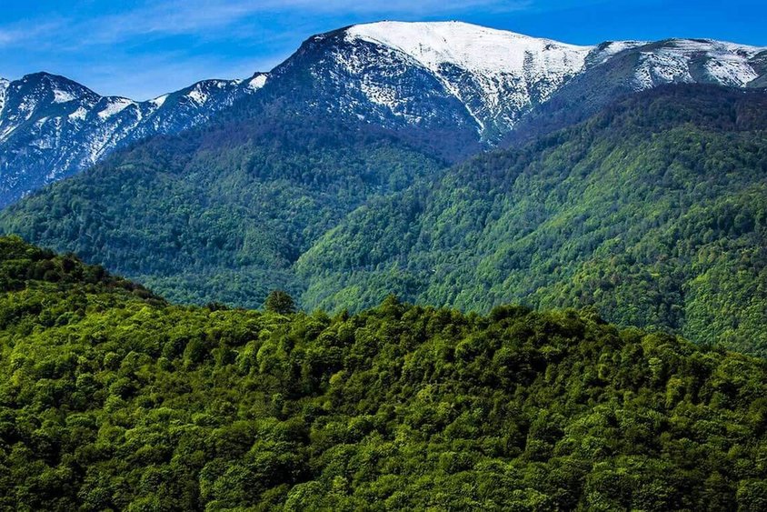 Провинция Гилян: Гирканские леса